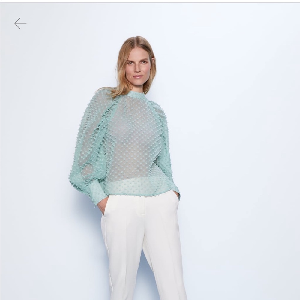 Turquoise see through blouse